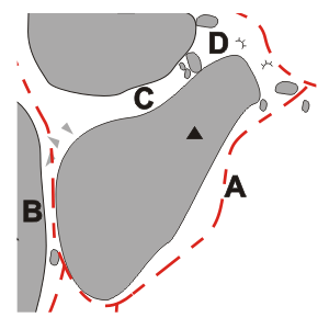 Схема скалолазных секторов камня "Лестница"